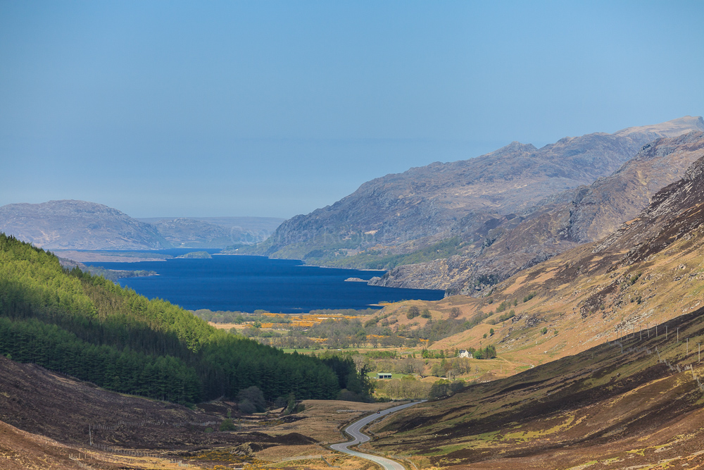 Glen Docherty