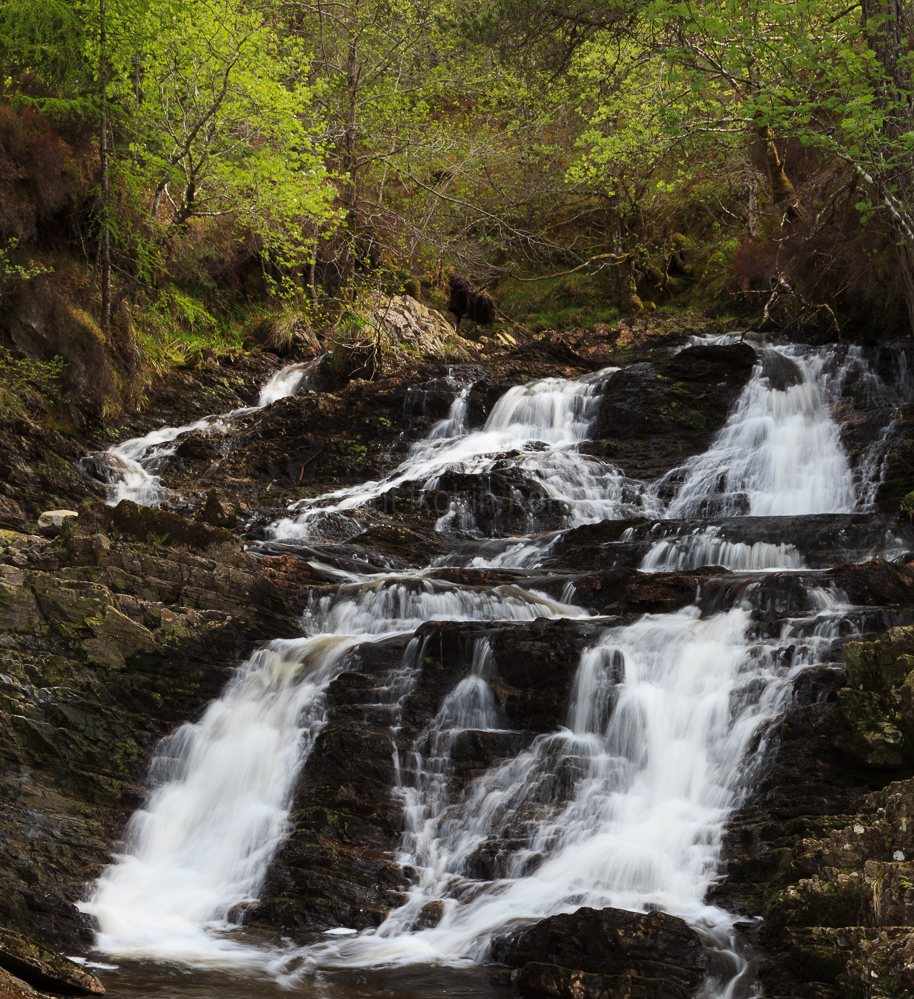 Plodda Falls, Tomich