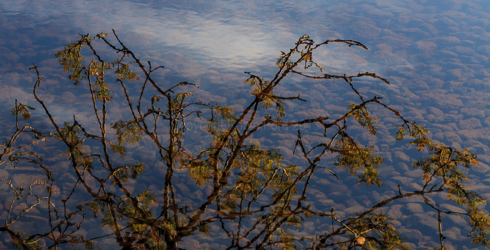 Loch Nell